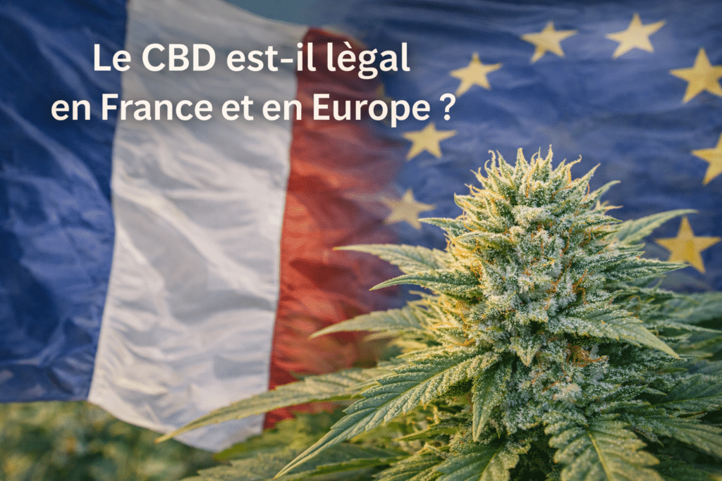 Le CBD est-il légal en France et en Europe