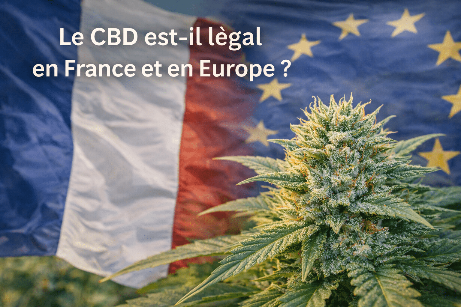 Le CBD est-il légal en France et en Europe