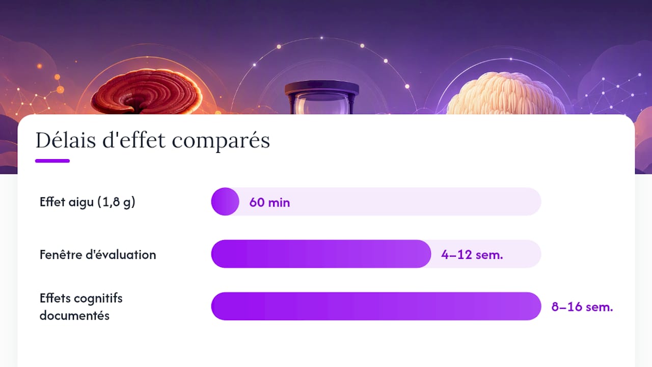 Chronologie des délais d’évaluation des effets