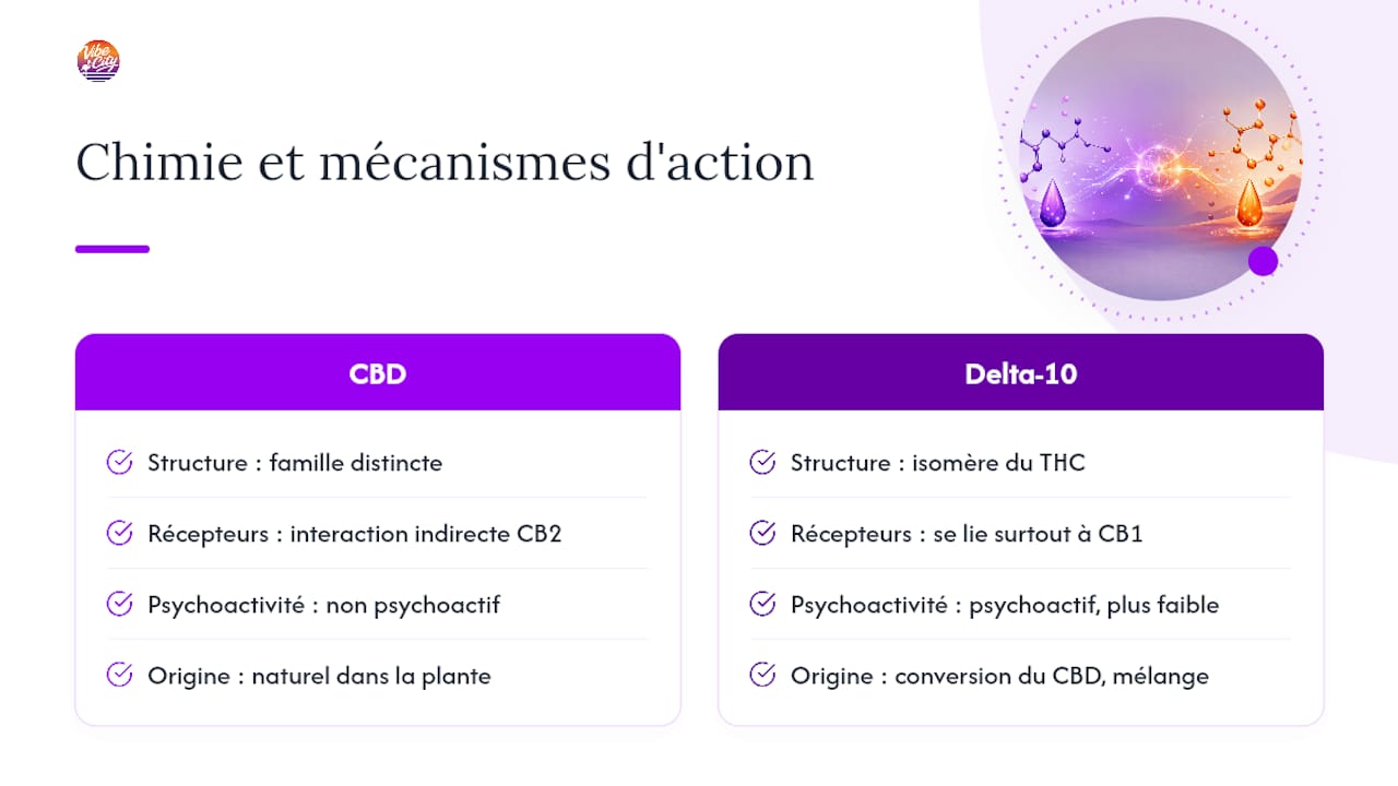 Comparaison des effets du CBD et du Delta-10