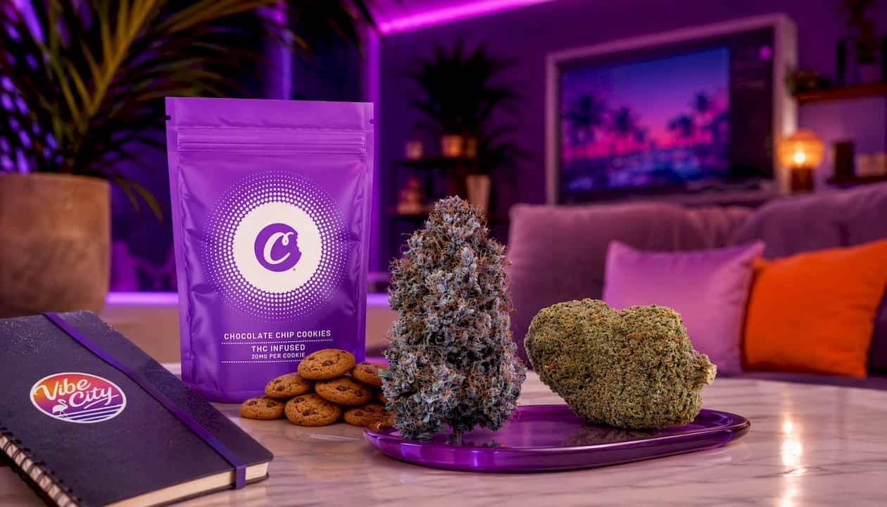 Chocolate Chip Cookie – Cookies D9 20 mg