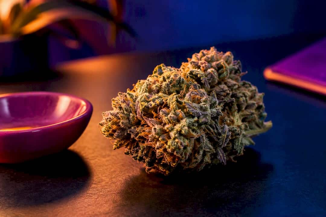 Gros plan sur une fleur de CBD et ses trichomes