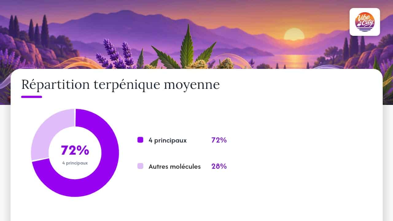 Fiches pratiques : les terpènes fréquents et leur impression olfactive — overview diagram